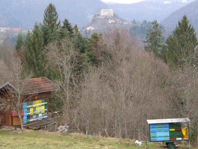 Čebelnjak MA – JA , prevozna enota in kontrolni panj (V ozadju Kostelski grad)